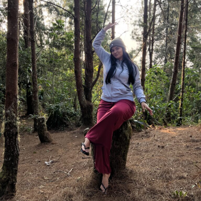 Bosques frios de la sierra nevada