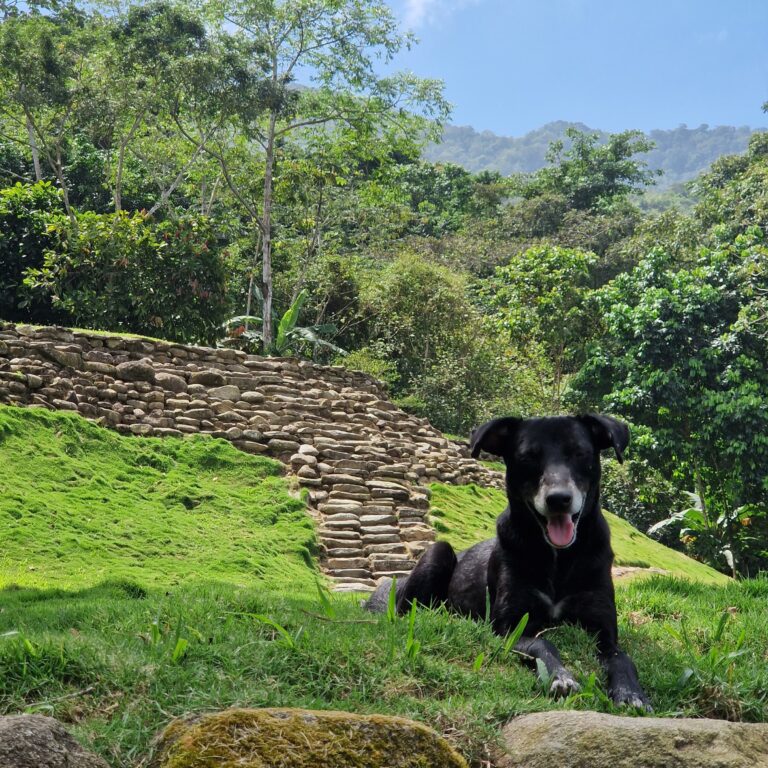 Descubriendo Bunkuany
