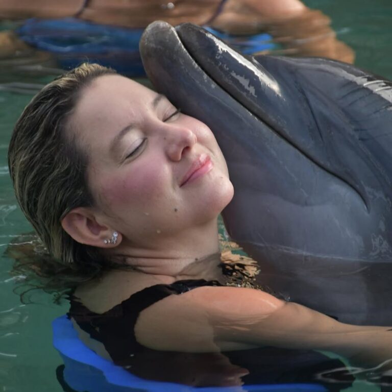 Disfruta del show de delfines en el acuario de santa marta