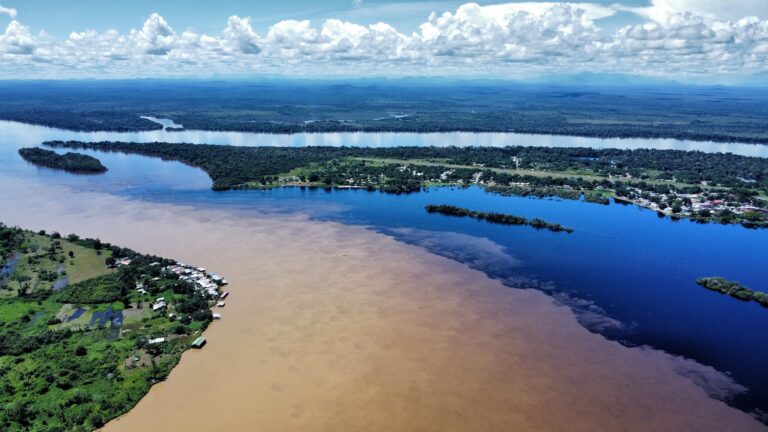 Estrella Fluvial del Inírida - por Óscar Iván Pérez H.