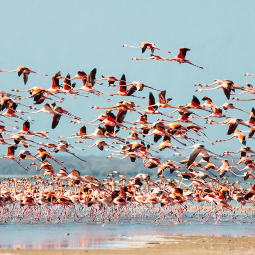 Tour-Punta-Gallinas-3-Días