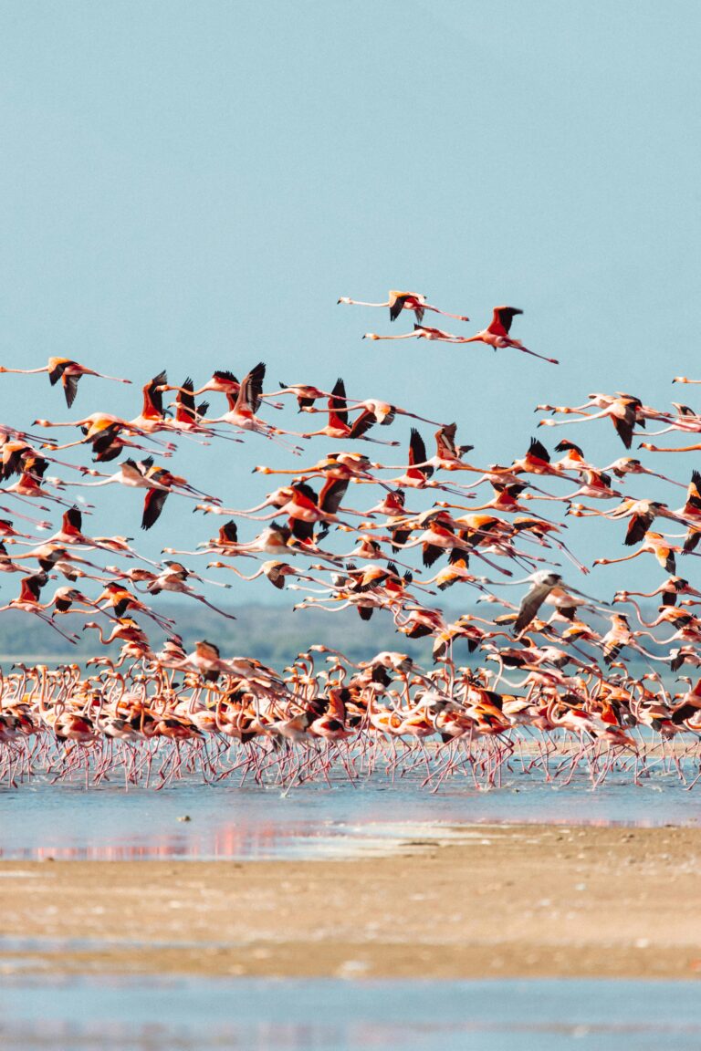 Tour-Punta-Gallinas-3-Días