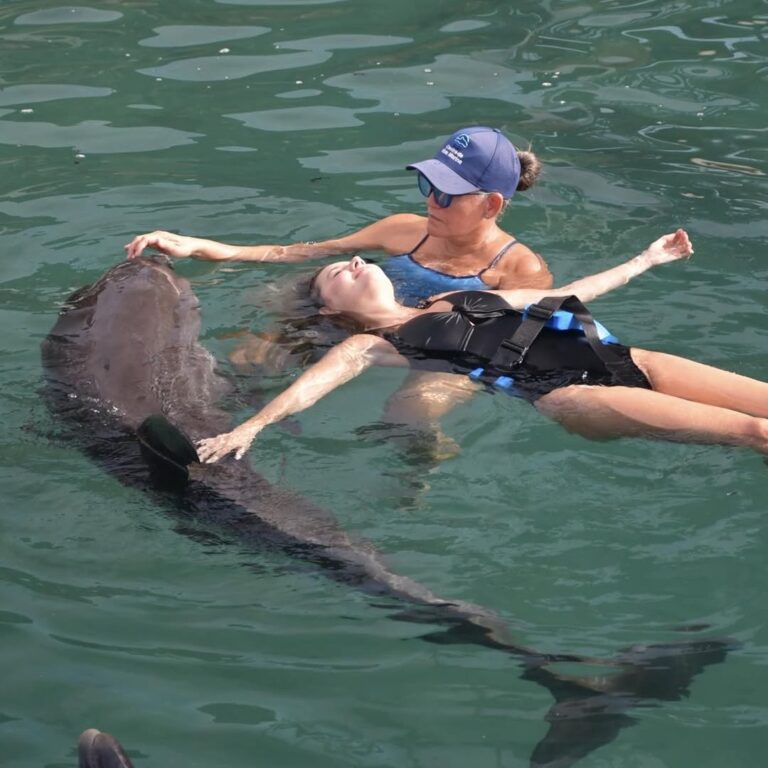 Los sonidos que emiten los delfines estimulan nuestro cerebro