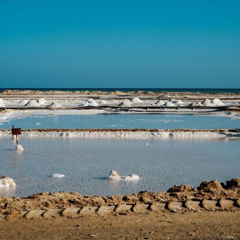 Minas de sal
