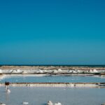 pexels-jhonnysalasb-16041405