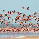 pexels-ritratto-visual-704627165-18116784