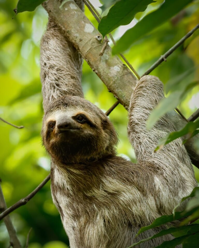 936d7074-e4e6-4212-af19-e4e3f289c274