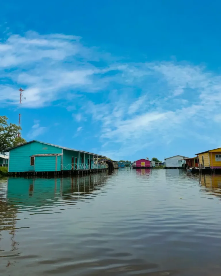 #PalafitosColombia (3)