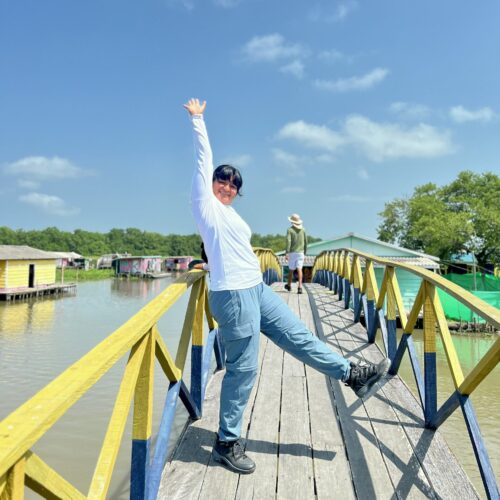 Tour a los Pueblos Palafitos 1 Día