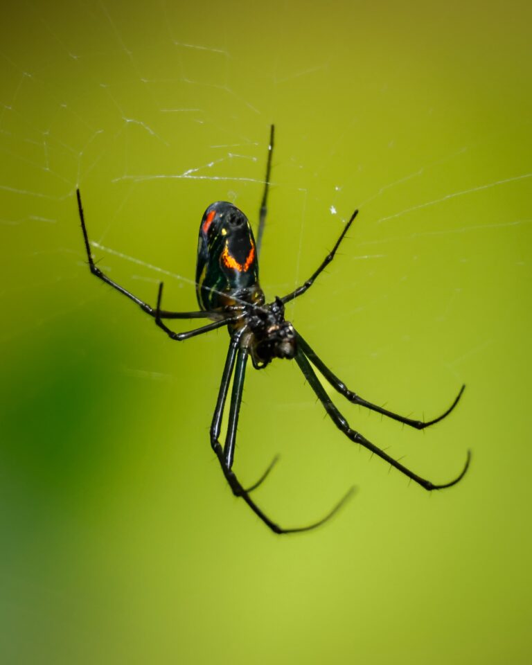 e1cabfdb-ee8e-42b2-b4dd-4723eea72f1c