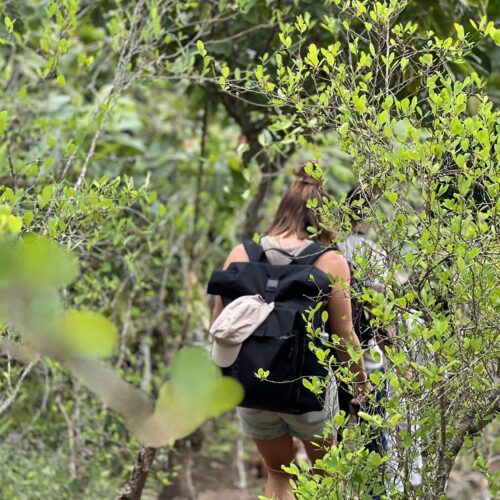 Viviendo con una Comunidad Indígena en la Sierra Nevada de Santa Marta | 2 Días – 1 Noche