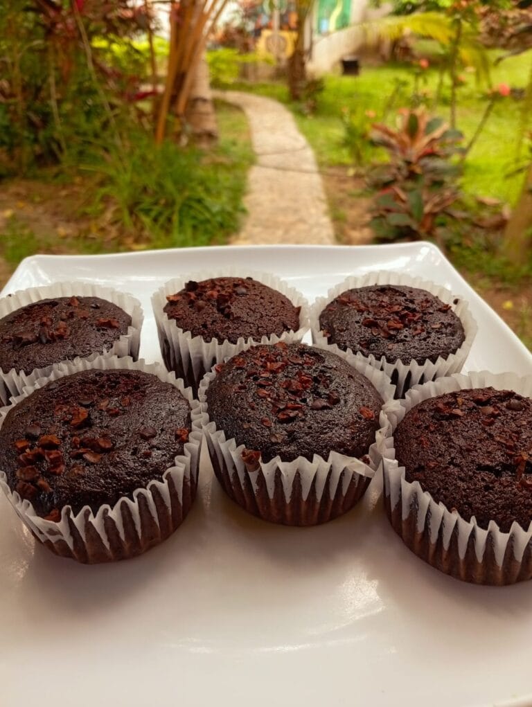 Tour-de-cacao-cerca-al-parque-tayrona
