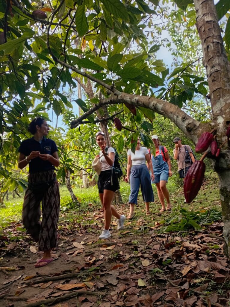 WhatsApp Image 2026-01-27 at 9.57.55 AM