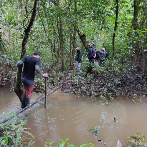 tour-amazonas-3-dias