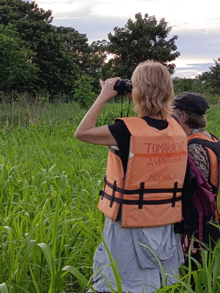 Observación de Fauna