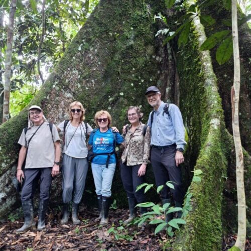 Tour Amazonas 3 días en la selva colombiana con experiencia guiada