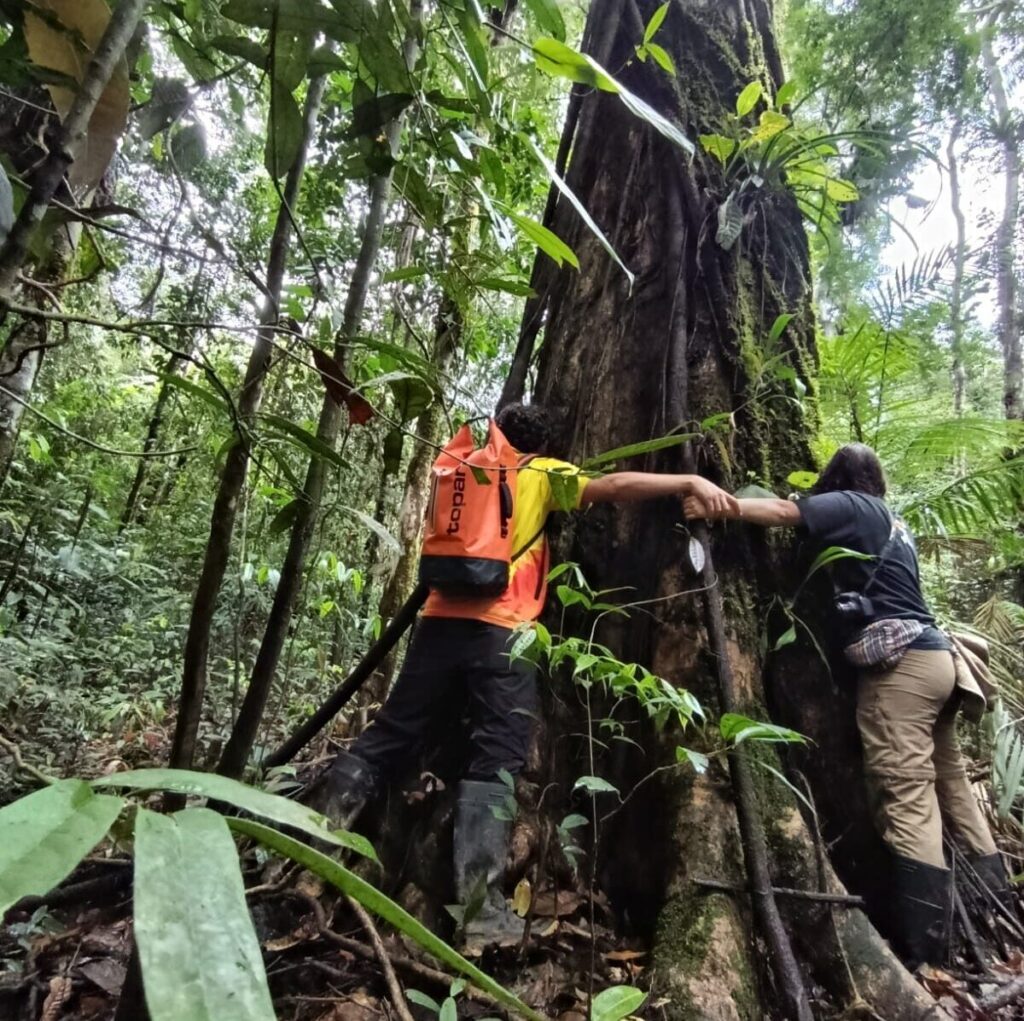 Amazonas 4 Días