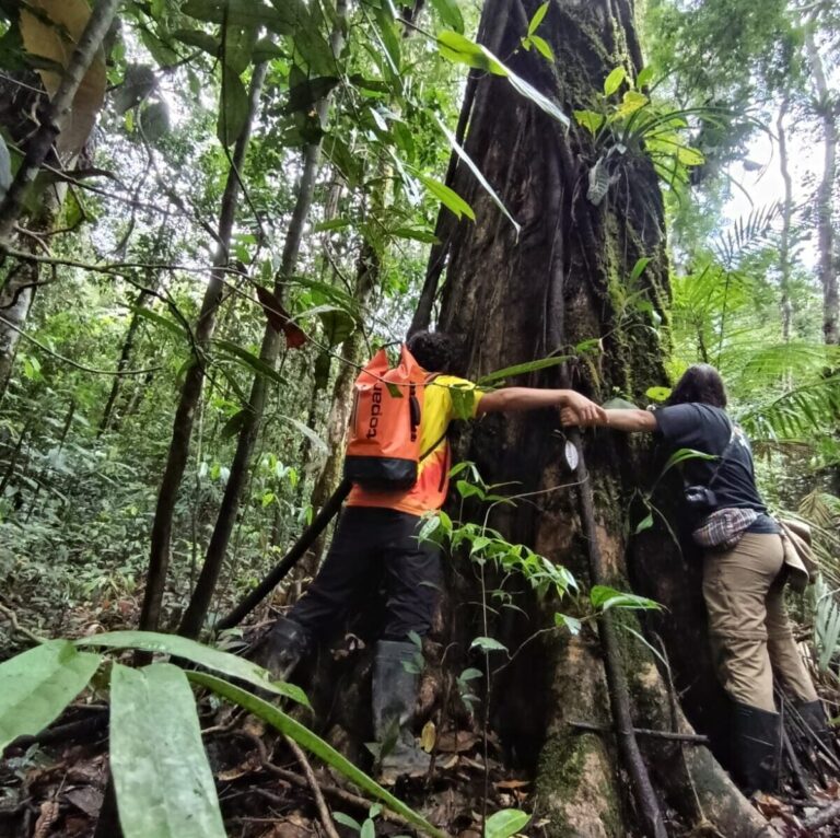 Amazonas 4 Días