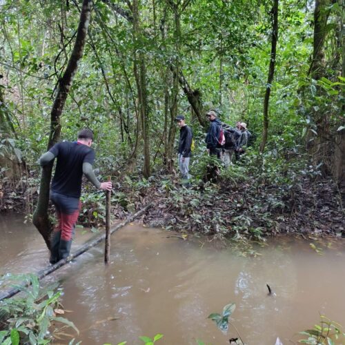 Tour Amazonas 5 Días