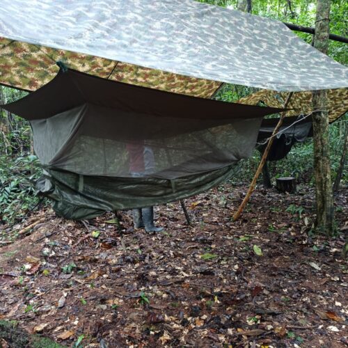 Acampada en la Selva, Tour Amazonas 5 días