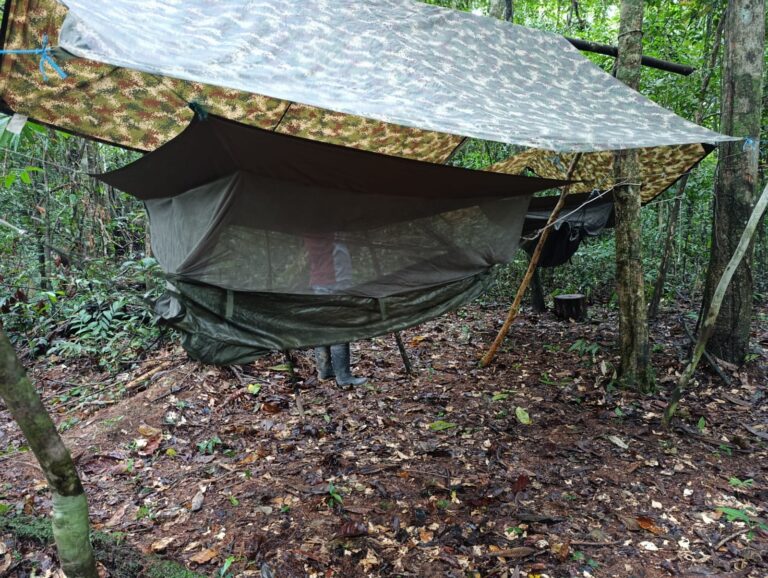 Acampada en la Selva, Tour Amazonas 5 días