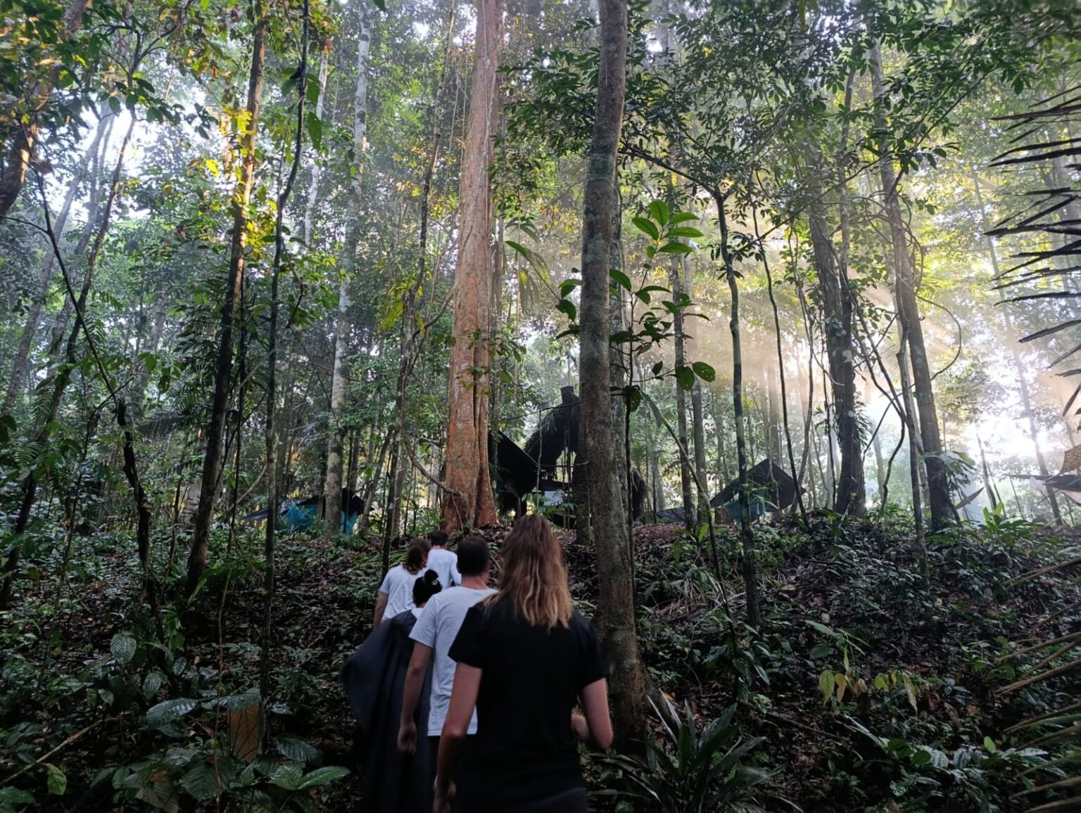 Cómo Viajara al Amazonas este 2026?