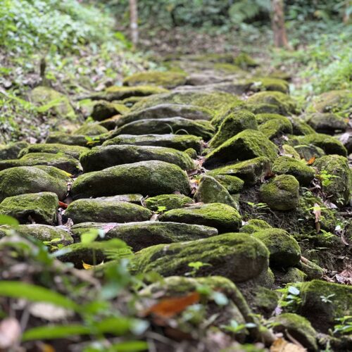 Tour Tayrona Ancestral: Bunkuany, Comunidad Indígena y Mar