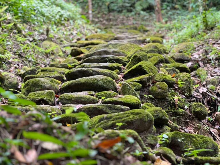 Tour Tayrona Ancestral: Bunkuany, Comunidad Indígena y Mar
