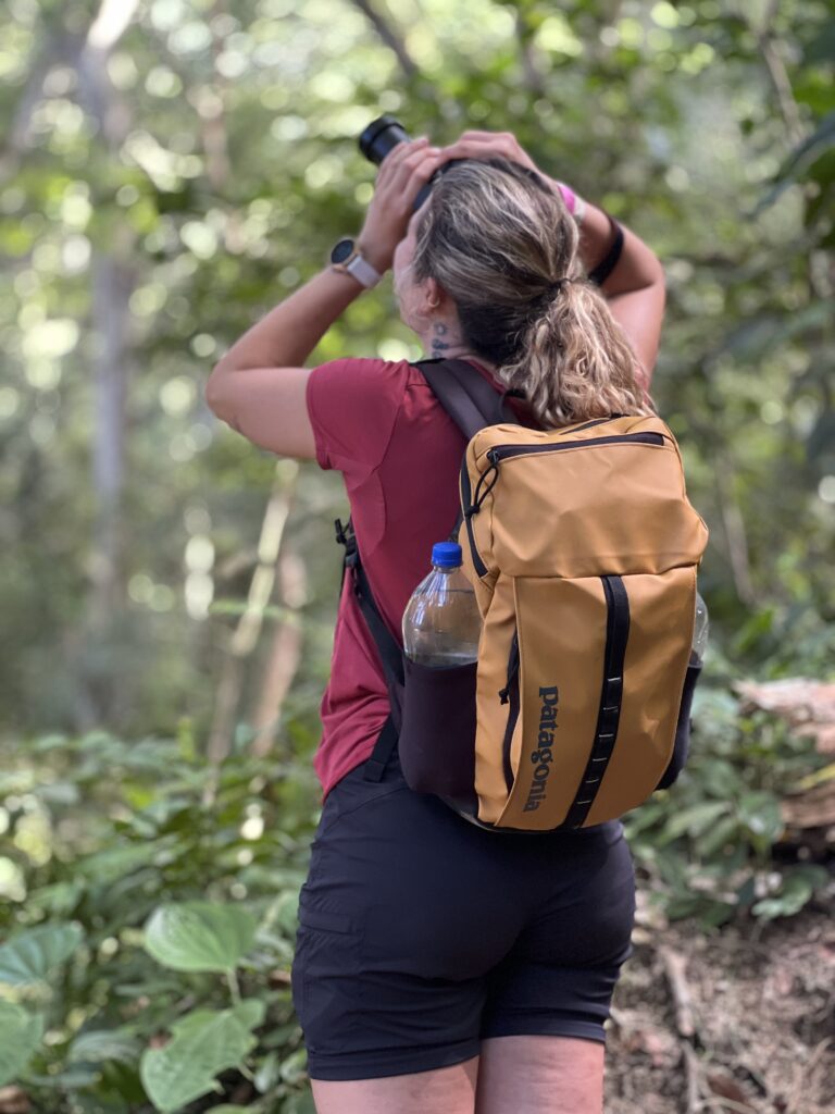 Tour Observación de Fauna del Parque Tayrona