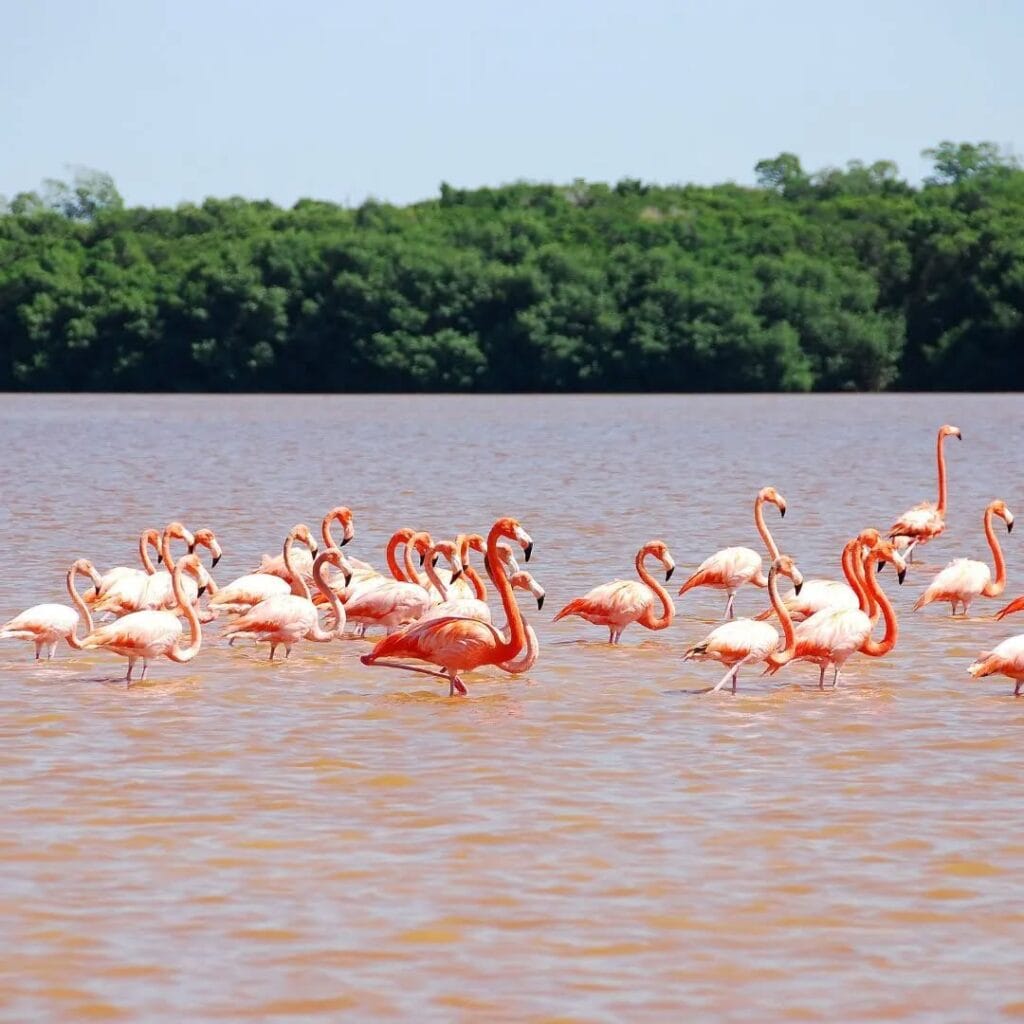 Tour-a-la-Guajira