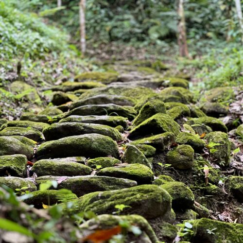 Tour Tayrona Ancestral | Bunkuany, Comunidad Indígena y Mar 3 Días