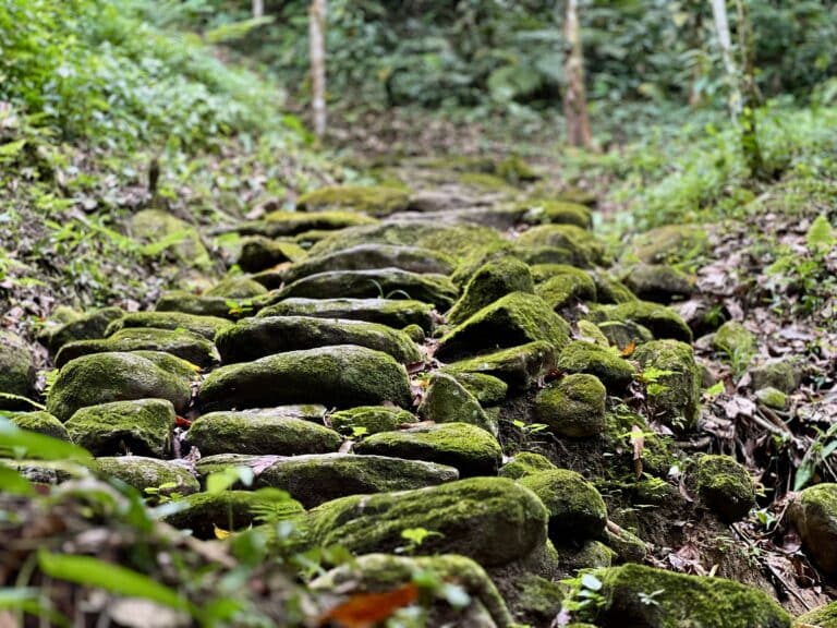 Tour Tayrona Ancestral | Bunkuany, Comunidad Indígena y Mar 3 Días