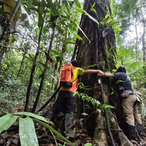 tour-amazonas-4-dias